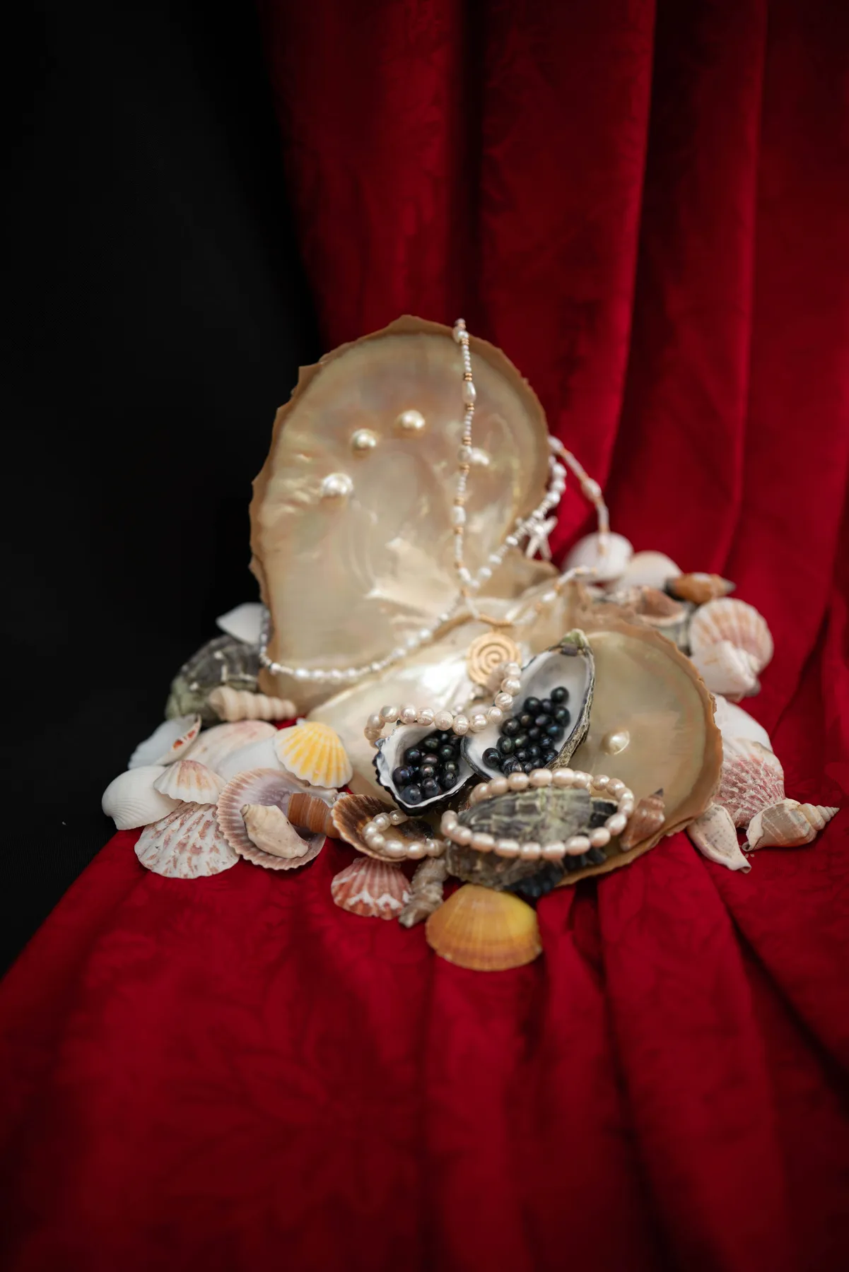 Product Photography gallery photo 8
