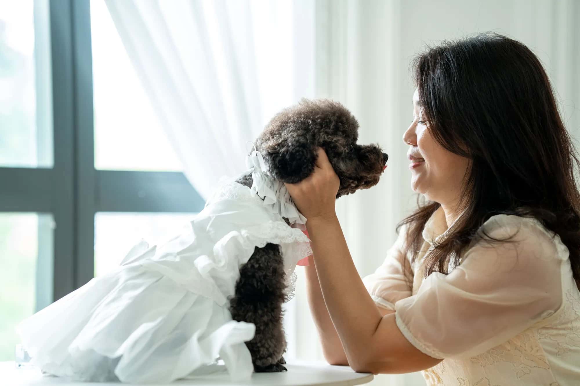 Pet dog portrait with owner
