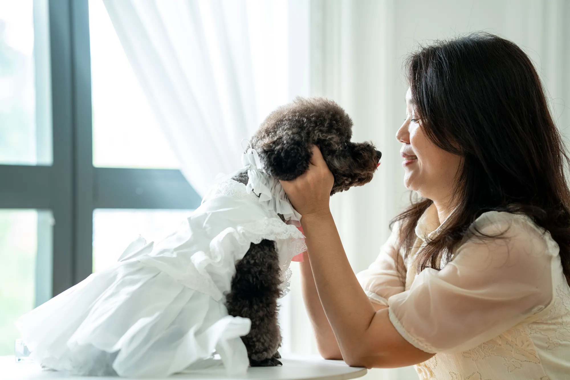 Pet dog portrait with owner